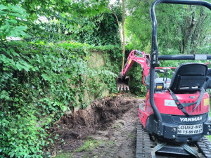 Photo de galerie - Plantation gros sujets