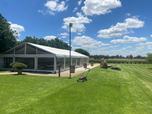 Photo de galerie - Tonte de pelouse - Débroussaillage