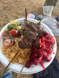 Photo de galerie - Du riz gras, salade, brochettes de viande 