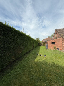 Photo de galerie - Taillage de haie_PROCESS