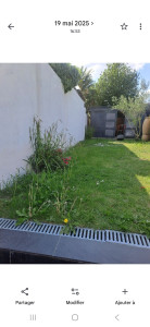 Photo de galerie - Tonte de pelouse - Débroussaillage