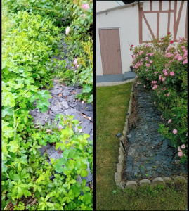 Photo de galerie - Désherbage d'un massif sur Brionne !