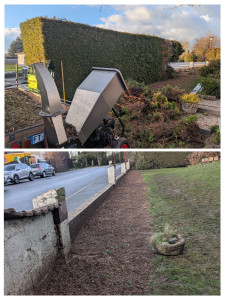 Photo de galerie - Retrait d une haie avec rognage de souche et nettoyage 
