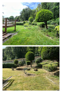 Photo de galerie - Taille de haies et d'arbustes