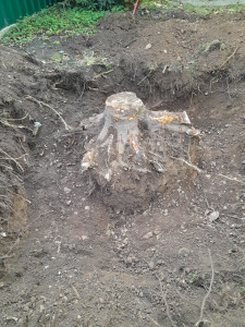 Photo de galerie - Paysagiste - Aménagement du jardin