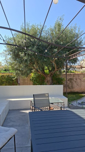 Photo de galerie - Taille de haies et d'arbustes