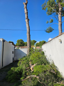 Photo de galerie - Fin Abbatage 