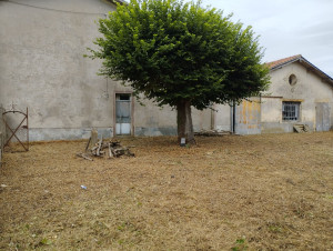 Photo de galerie - Débroussaillage d'un terrain à l'abandon ! ✨