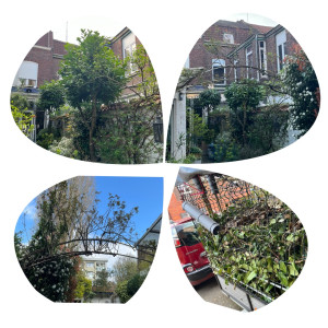 Photo de galerie - Paysagiste - Aménagement du jardin