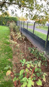 Photo de galerie - Paysagiste - Aménagement du jardin
