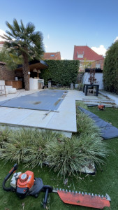 Photo de galerie - Taille de haies et d'arbustes