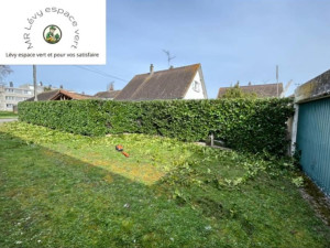 Photo de galerie - Taille de haie 