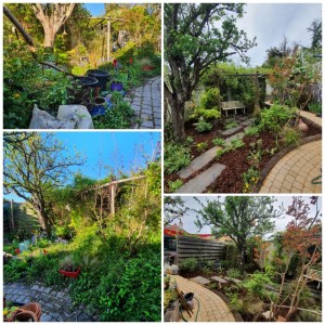 Photo de galerie - Paysagiste - Aménagement du jardin