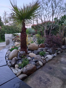 Photo de galerie - Paysagiste - Aménagement du jardin