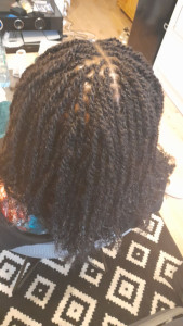 Photo de galerie - Vanilles