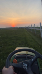 Photo de galerie - Tonte de pelouse