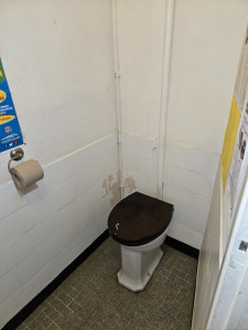 Photo de galerie - Remplacement WC avant travaux