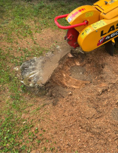 Photo de galerie - Après