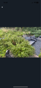 Photo de galerie - Paysagiste - Aménagement du jardin