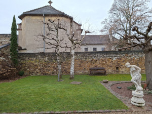 Photo de galerie - Taille d'un bouleau 