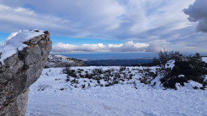 Photo de galerie - .