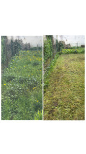 Photo de galerie - Tontes même avec de l’herbe très haute !!