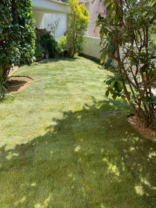 Photo de galerie - Paysagiste - Aménagement du jardin