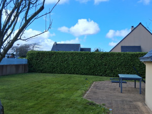 Photo de galerie - Taille de haie