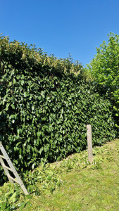 Photo de galerie - Avant