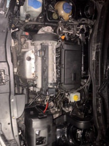 Photo de galerie - …