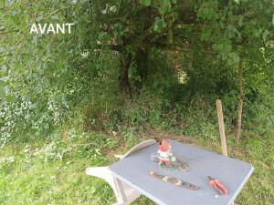 Photo de galerie - Tonte de pelouse - Débroussaillage
