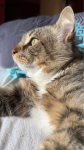 Photo de galerie - Petit Snow garder durant quelques semaines 