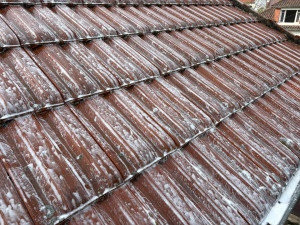 Photo de galerie - Application d’un traitement dalep 2100 sur toiture 