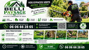 Photo de galerie - Elagage et coupe d'arbres