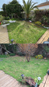 Photo de galerie - Nettoyage, coupe de bordure, déterrer un arbre et placer une bordure plastique pour délimiter le jardin