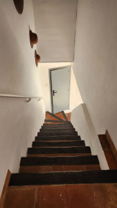 Photo de galerie - Home sitting - Accueil - Gardiennage