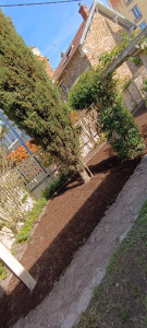 Photo de galerie - Traitement sol, gazon 