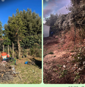 Photo de galerie - Avant /après