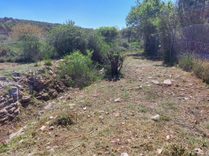 Photo de galerie - Débrouille zone caillouteuse