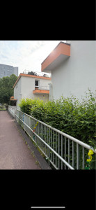 Photo de galerie - Taille de haies et d'arbustes