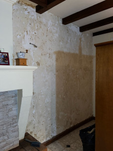 Photo de galerie - Décoller de la moquette sur mur 