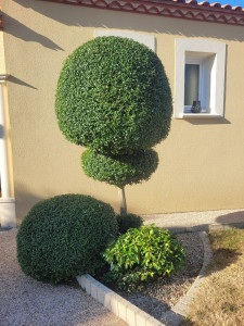 Photo de galerie - Exemple de taille 