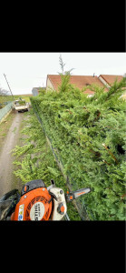 Photo de galerie - Taille de haie débroussaillage 