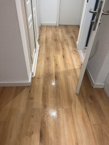 Photo de galerie - Ménage à domicile 