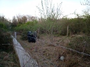 Photo de galerie - Tonte de pelouse - Débroussaillage