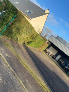 Photo de galerie - Taille de haies et d'arbustes