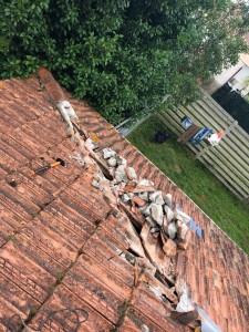 Photo de galerie - Couverture - Toiture