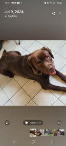 Photo de galerie - A furry friend ! 