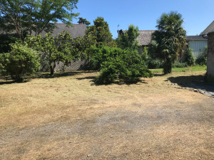 Photo de galerie - Tonte de pelouse - Débroussaillage