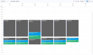 Photo de galerie - Exemple de mon organisation hebdomadaire pour garantir le suivi de vos dossiers chaque soir dès 17h30